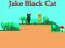 Oyunu Jake Black Cat çevrimiçi