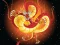 Oyunu Chinese Dragons Coloring çevrimiçi