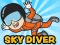 Oyunu Skydiver çevrimiçi