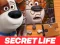 Oyunu The Secret Life of Pets Jigsaw Puzzle çevrimiçi