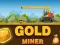 Oyunu Amazing Gold Miner çevrimiçi