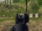 Oyunu Army Shooter çevrimiçi