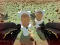 Oyunu Shooting Survival Skibidi Toilet çevrimiçi