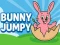 Oyunu Bunny Jumpy çevrimiçi
