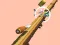 Oyunu Spiral Rush çevrimiçi