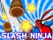 Oyunu Slash Ninja çevrimiçi