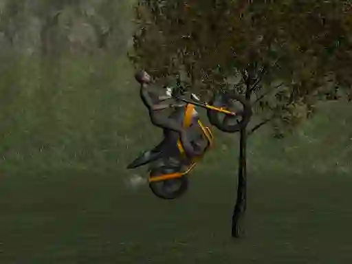 Oyunu Mountain Bike Rider çevrimiçi