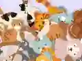 Oyunu Find The Kitty çevrimiçi