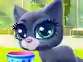 Oyunu Happy Cat çevrimiçi