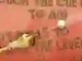 Oyunu Zombie Pool çevrimiçi