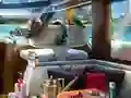 Oyunu Caribbean Crime çevrimiçi