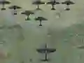 Oyunu Wings Of Glory çevrimiçi