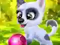 Oyunu Happy Dog çevrimiçi
