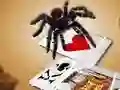 Oyunu Jumping Spider çevrimiçi