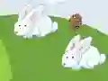 Oyunu Crazy Eggs çevrimiçi