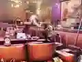 Oyunu Bar Makeover çevrimiçi