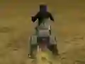Oyunu Real Moto Stunts Challenge çevrimiçi