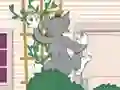 Oyunu Tom und Jerry: Wasserbomben Wahnsinn çevrimiçi