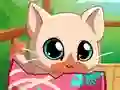 Oyunu My Pocket Pets Kitty Cat çevrimiçi