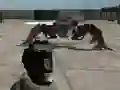 Oyunu Mech Aggression çevrimiçi