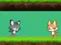 Oyunu Cat vs Dog çevrimiçi
