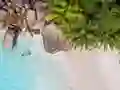 Oyunu Seychelles Beach Jigsaw Puzzle çevrimiçi