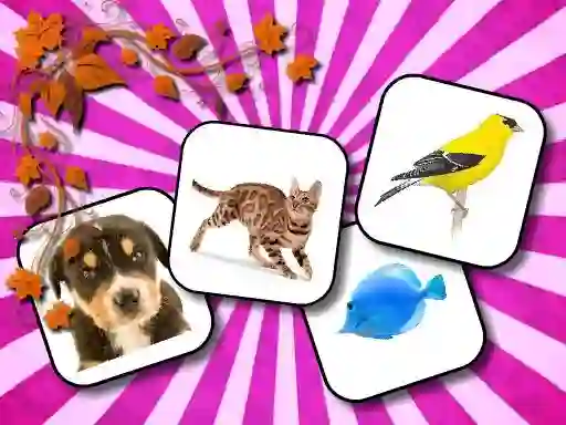 Oyunu Animals Memory çevrimiçi