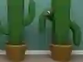 Oyunu Cactus Cube çevrimiçi