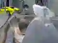 Oyunu Z Day Shootout çevrimiçi
