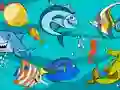Oyunu Fish Differences çevrimiçi
