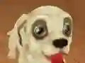 Oyunu Pet Run Adventure çevrimiçi