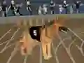 Oyunu Crazy Dog Racing Fever çevrimiçi