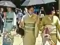 Oyunu 100 Butterflies in Japan çevrimiçi