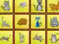 Oyunu Cats Findiff çevrimiçi