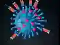Oyunu Kill The Coronavirus çevrimiçi