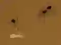 Oyunu Save the crumb çevrimiçi