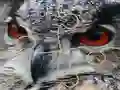 Oyunu Wild owl Jigsaw çevrimiçi