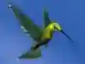 Oyunu Hummingbird House Escape çevrimiçi