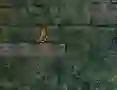Oyunu Bunny Adventure çevrimiçi