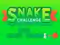 Oyunu Snake Challenge çevrimiçi