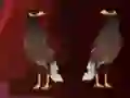 Oyunu Peikin Duck Escape çevrimiçi