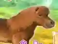 Oyunu My Dear Pony çevrimiçi
