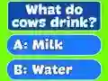 Oyunu Trivia Best Family Quiz çevrimiçi