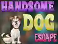 Oyunu Handsome Dog Escape çevrimiçi