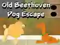 Oyunu Old Beethoven Dog Escape çevrimiçi