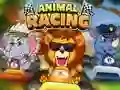 Oyunu Animal Racing çevrimiçi