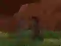 Oyunu Phase Ninja çevrimiçi