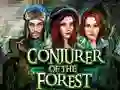 Oyunu Conjurer Of The Forest çevrimiçi
