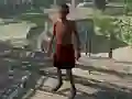 Oyunu Black Apocalypse çevrimiçi