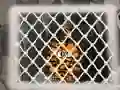 Oyunu Tiger Escape 1 çevrimiçi